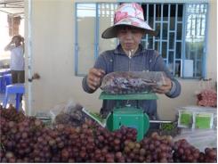 Nho An Toàn Đắt Khách