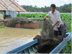 Người Nuôi Cá Bè Trên Sông Vàm Cỏ Đông Thiệt Hại Nặng Vì Nước Sông Ô Nhiễm