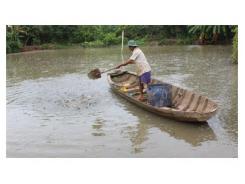 Ông Trần Văn Hùng Ấp An Tấn, Xã An Lạc Tây, Huyện Kế Sách Làm Giàu Từ Nuôi Cá Trê Vàng Lai