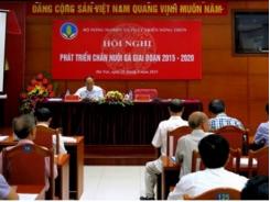 Sức cạnh tranh của chăn nuôi gà thấp