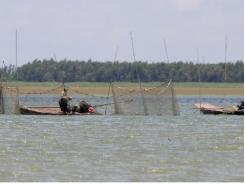 Hồ Dầu Tiếng (Tây Ninh) đánh bắt cá vào mùa sinh sản