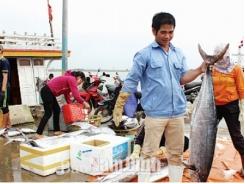 Hỗ trợ, tạo điều kiện cho ngư dân bám biển, vươn khơi