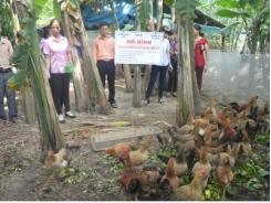 Tuyên Quang tổng kết mô hình nuôi gà Ri lai an toàn sinh học tại xã Mỹ Bằng