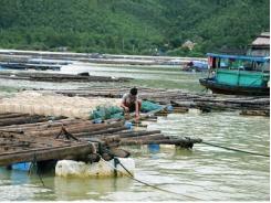 Huyện Vân Đồn (Quảng Ninh) nuôi trồng thuỷ sản thiệt hại nặng do mưa lũ