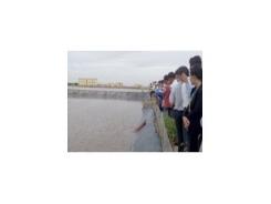 Nuôi tôm công nghiệp không sử dụng kháng sinh, hóa chất theo VietGAP