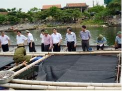 Quảng Ninh (Quảng Bình) chú trọng phát triển đánh bắt và nuôi trồng thủy sản