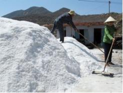 Khánh Hòa tồn đọng 40.000 tấn muối do giá muối giảm mạnh