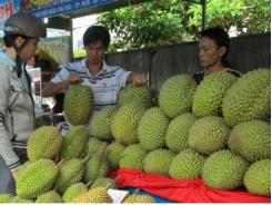 Giải pháp hạn chế trái cây dội chợ