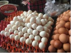 Bí ẩn nguồn gốc trứng gà ta giá rẻ bán đầy chợ