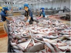 Bác thông tin Mỹ cấm nhập khẩu 20 tấn cá da trơn Việt Nam