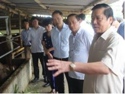 Chủ tịch Hội NDVN Lại Xuân Môn - Liên kết nông dân mới làm giàu được