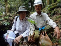 Dán tem chống giả cho sâm Ngọc Linh của Việt Nam tốt nhất thế giới