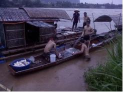 Sau mưa lũ, hơn 60 tấn cá lồng mất trắng