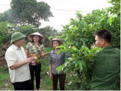 Tập trung chỉ đạo, triển khai xây dựng mô hình điểm