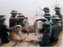 Kỳ vọng từ con tôm, con cá