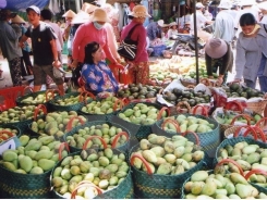 Forum promotes vegetables, fruits trade to China