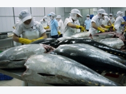 Xuất khẩu cá ngừ sang các thị trường chính đều tăng mạnh