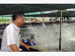Ninh Thuận: Đòn bẩy phát triển nuôi tôm nước lợ