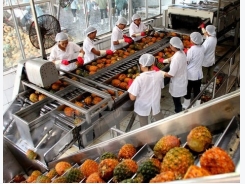 Spending on fruit, vegetable imports rises