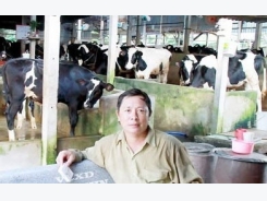 Agricultural cooperatives in HCMC face difficulties