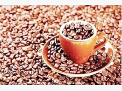 Indian company builds instant coffee plant