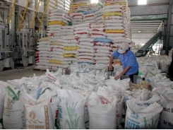 Rice export target set at 5.2 million tonnes in 2017
