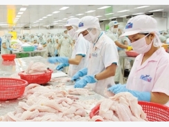 US commences inspections over all catfish imports from Vietnam