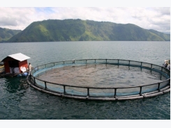 Can Aquaculture Save the World?