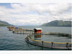 Aquaculture’s Positive Impact on the World