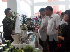 Conference discusses developing Lam Dong high-tech farming