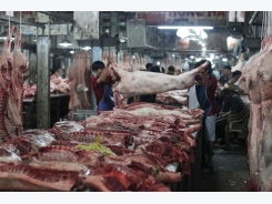 Ho Chi Minh city firm in pork traceability