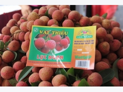 Vietnam posts best lychee crop in 60 years