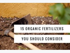 15 of the Best Common Organic Fertilizers
