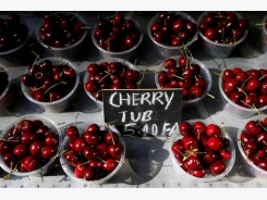 Vietnam, Australia clinch fruit trade deal
