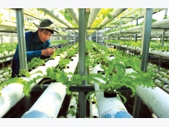 Tiền Giang develops hi-tech agricultural park