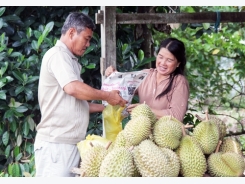 Đường “sáng” cho nông dân ổn định, bền vững