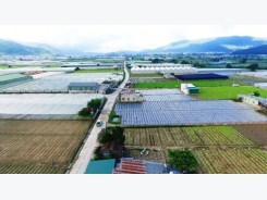 Vựa rau lớn nhất Lâm Đồng sau 5 năm tái cơ cấu nông nghiệp