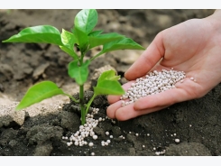 Use NPK As An Effective Mineral Fertilizer In Your Garden!