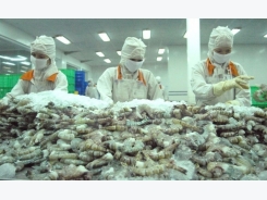 Vietnamese shrimp exporters struggle to compete in US