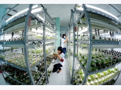 High-tech agriculture: HCM City boosts cooperation with Australia