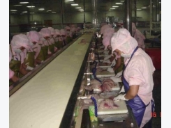Trung Quốc: Nhiều nhà máy chế biến cá rô phi đóng cửa