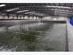 An inside look at Sino Agro Foods’ giant prawn MegaFarm