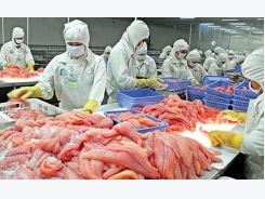 Vietnam sends tra fish equivalence assessment to U.S.