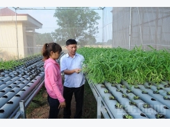 Bắc Giang to pour $66 million in hi-tech agricultural