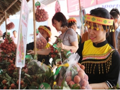 Bac Giang lychees present in 30 countries and territories