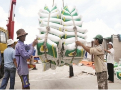 Analyzing the “molting” of rice export story