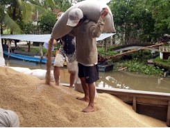 Việt Nam wins contract to export rice to South Korea