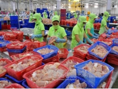 Việt Nam to promote seafood exports to Brazil