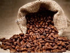 VN seeks to perk up value of coffee products