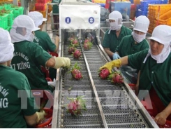 Vietnamese farm produce see big chances in Korean market